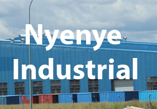 Nyenye Industrial in Lesotho